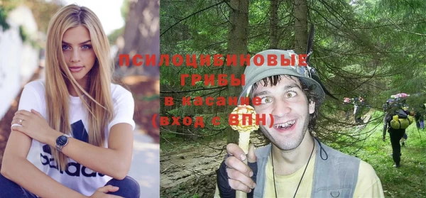 прущая мука Каменка