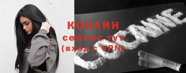 прущая мука Каменка