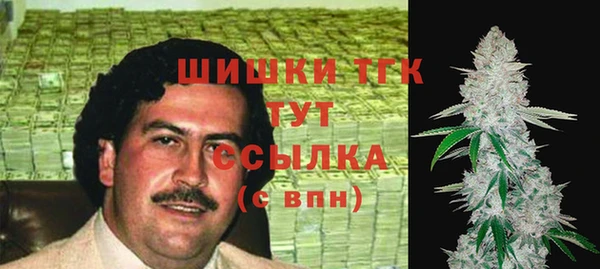 прущая мука Каменка