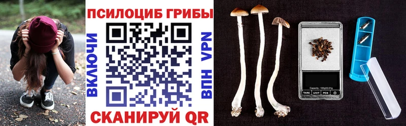 Галлюциногенные грибы Cubensis  Купить  Черногорск 
